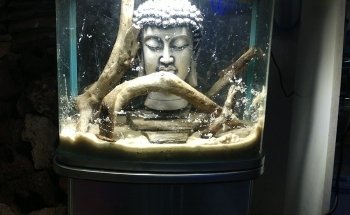 Nautica Acuario