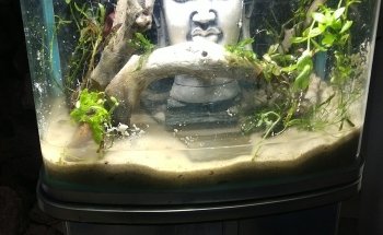 Nautica Acuario