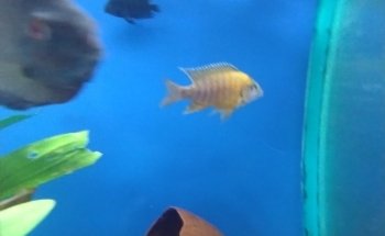 Acuario Aqua2
