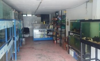 Acuario el carpa