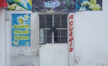 Acuario Williams