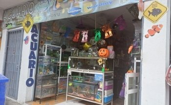 Acuario Williams