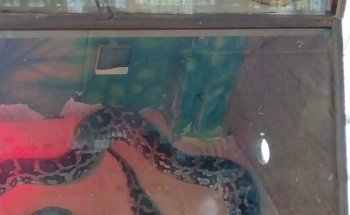 Acualandia