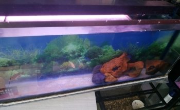 Moby Dick Aquarium