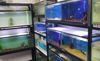 El Otro Acuario