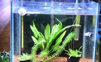 AquaBio
