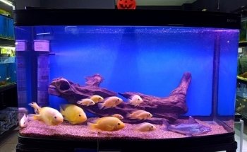 AquaBio
