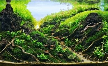 AquaBio