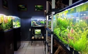 AquaBio