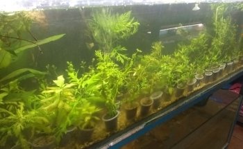 Aquarium 'The Reef'