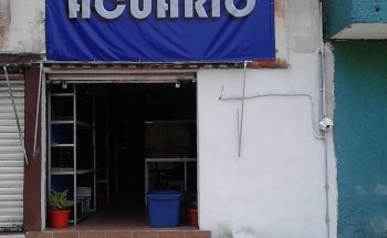 Iguanas DR RPTIL