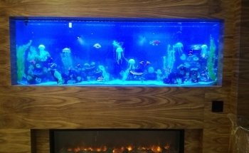 Acuario Williams Suc Cualtlancingo