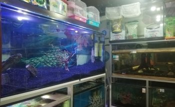 Acuario Williams Suc Cualtlancingo