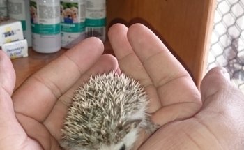 ACUARIO Y VETERINARIA GUADALAJARA
