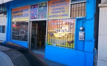 AQUARIUM AND VETERINARY GUADALAJARA