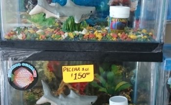 ACUARIO Y VETERINARIA GUADALAJARA