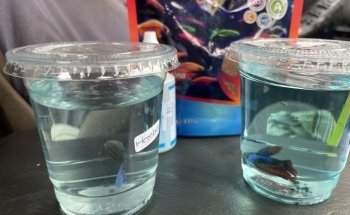 ACUARIO Y VETERINARIA GUADALAJARA