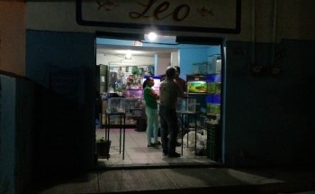Acuario Leo