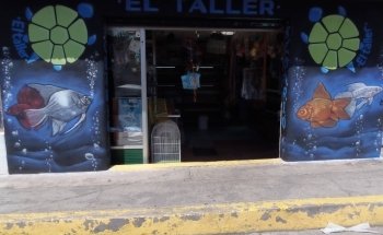 Acuario El Taller
