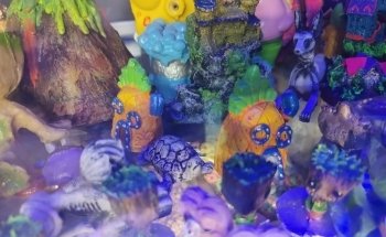Acuario El Taller
