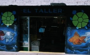 Acuario El Taller
