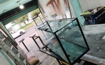 Acuario BAD FISH