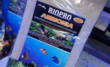 Acuario BAD FISH