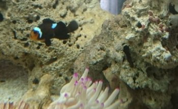 Acuario Habitat