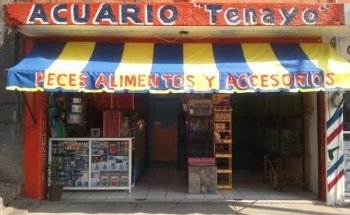 Acuario Tenayo