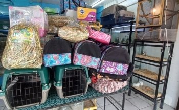 Acuario 