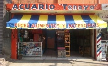 Acuario 