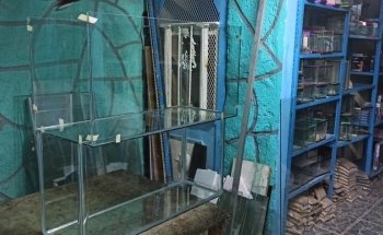 ACUARIO HIDALGO