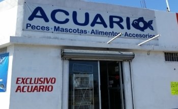 Acuario escobedo