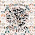 Servicio Veterinario Rottpast