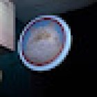 Los Michis Xalapa tienda de mascotas