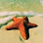 Acuario Estrella De Mar