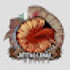 Acuario Bettas Leinad México