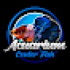 ACUARIUM CENTER FISH