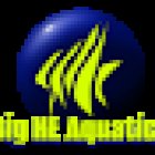 Big HE Aquatics