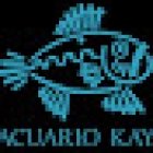 ACUARIO KAY