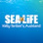 SEA LIFE Kelly Tarlton's Aquarium