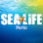 SEA LIFE Centre Porto