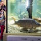 Maison des Pêcheurs du Lac de Grand Lieu