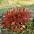 Marine Biological Station and Concarneau Marinarium