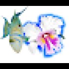 Les Arcanes de l'Eau