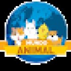 Mundo Animal Punta Arenas - Acuarismo