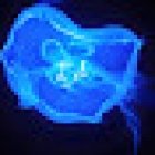 South Carolina Aquarium