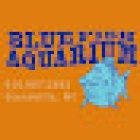 Blue Fish Aquarium