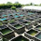 Neighborhood Fish Farm