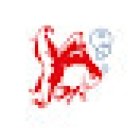 Wet Pets And Friends